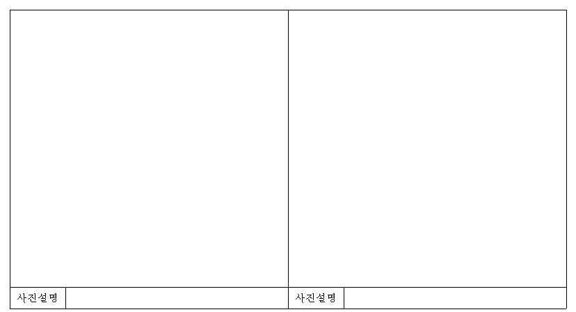 실 사 사 진 이미지